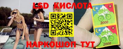 молекула духа Бийск