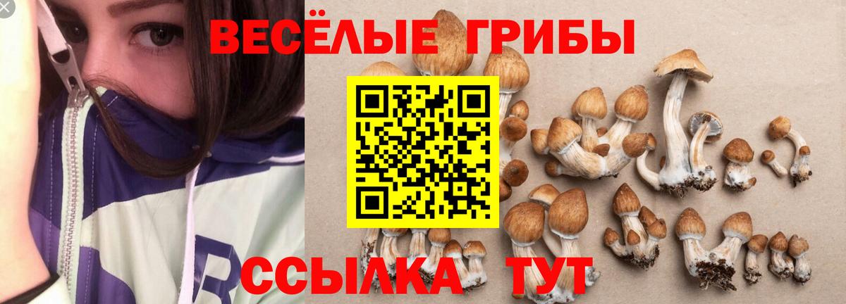Псилоцибиновые грибы GOLDEN TEACHER  Псилоцибиновые грибы Psilocybine cubensis  Жигулёвск  Вход с VPN 