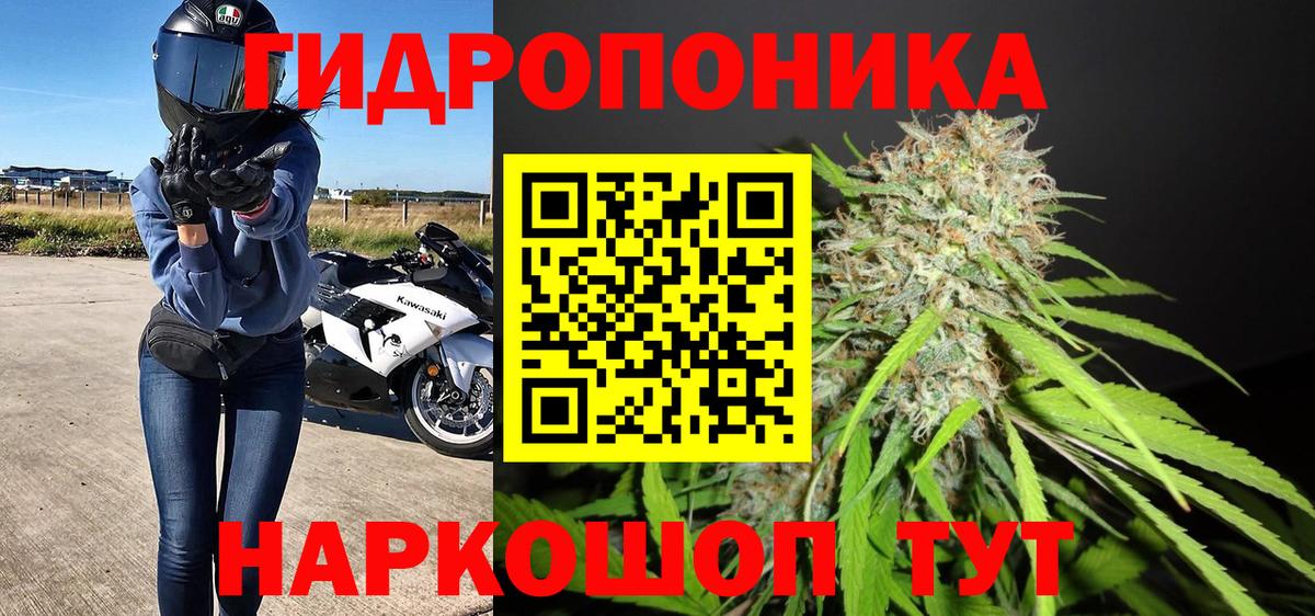 Бошки марихуана сатива Жигулёвск